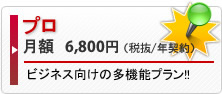 プロ　月額7140円